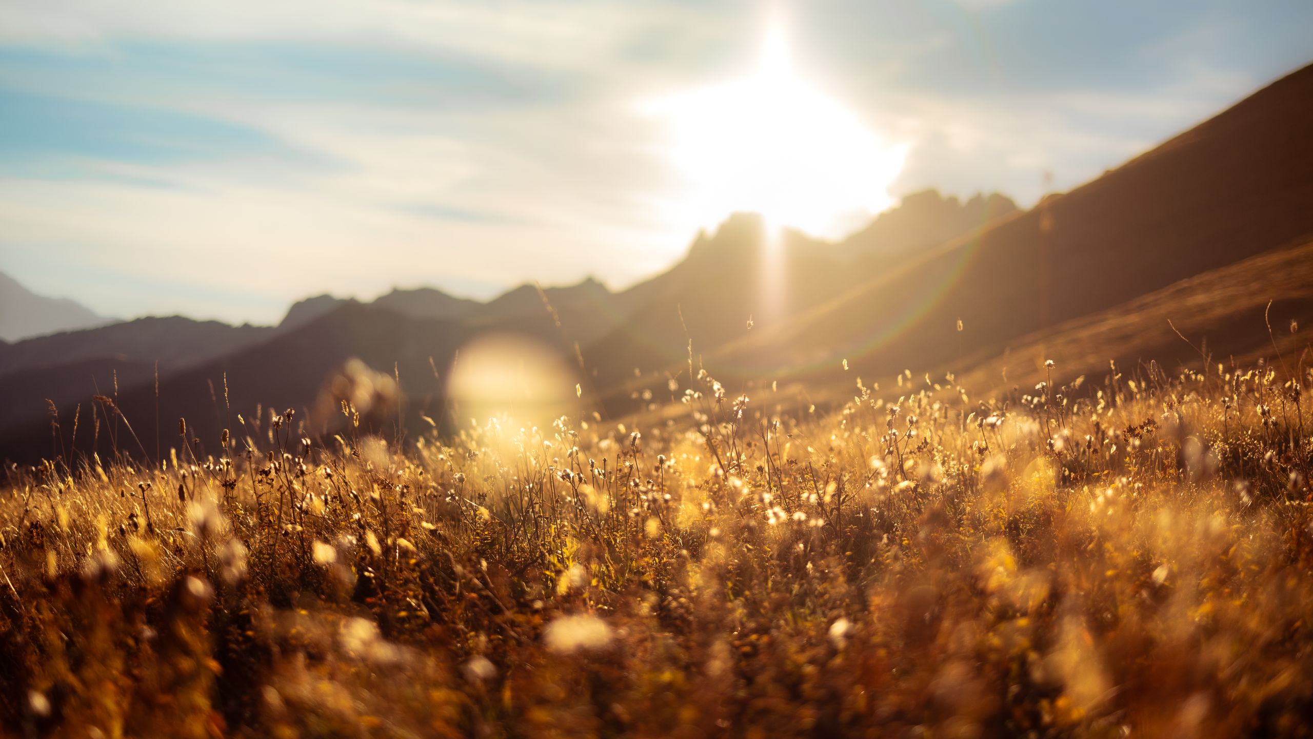 A stunning sunset over a meadow in La Léchère, France, highlighting the warm tones of nature.